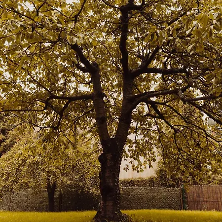 Apartment Hill Orlowo Gdynia