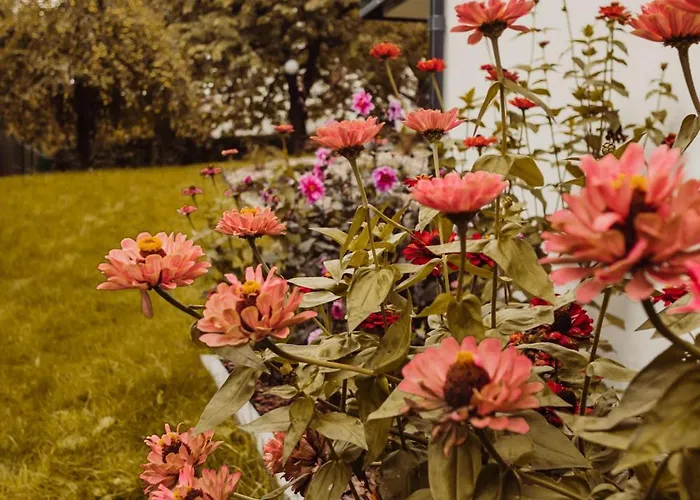 Hill Orlowo Apartment Gdynia