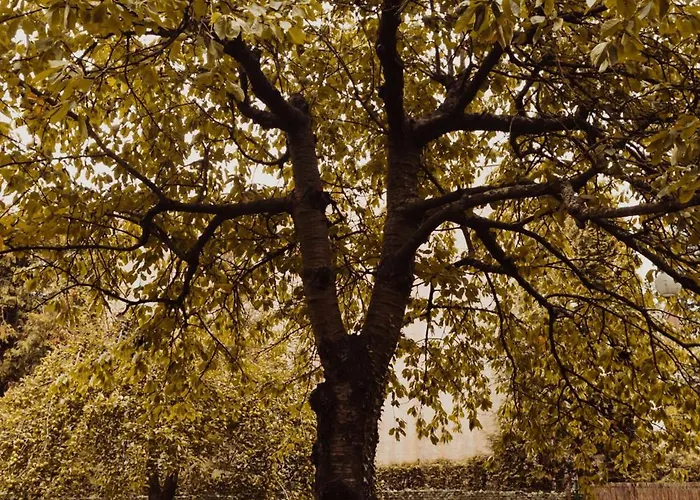 Apartment Hill Orlowo Gdynia